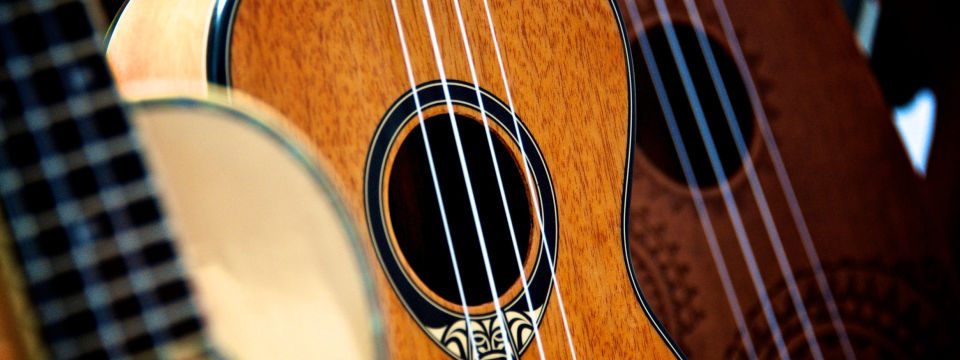 Zupfinstrumentenmacher