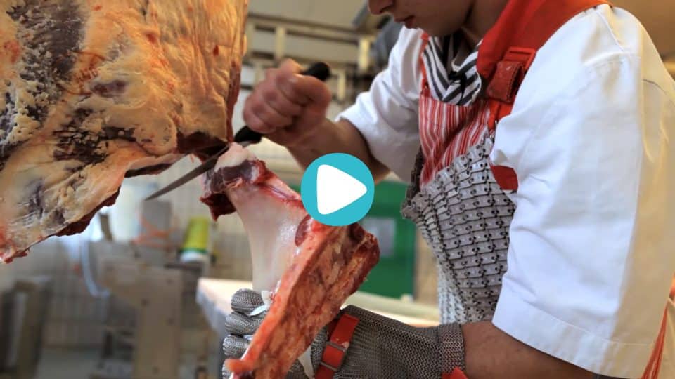 Fleischer•in 🥩 🔪👨🍳