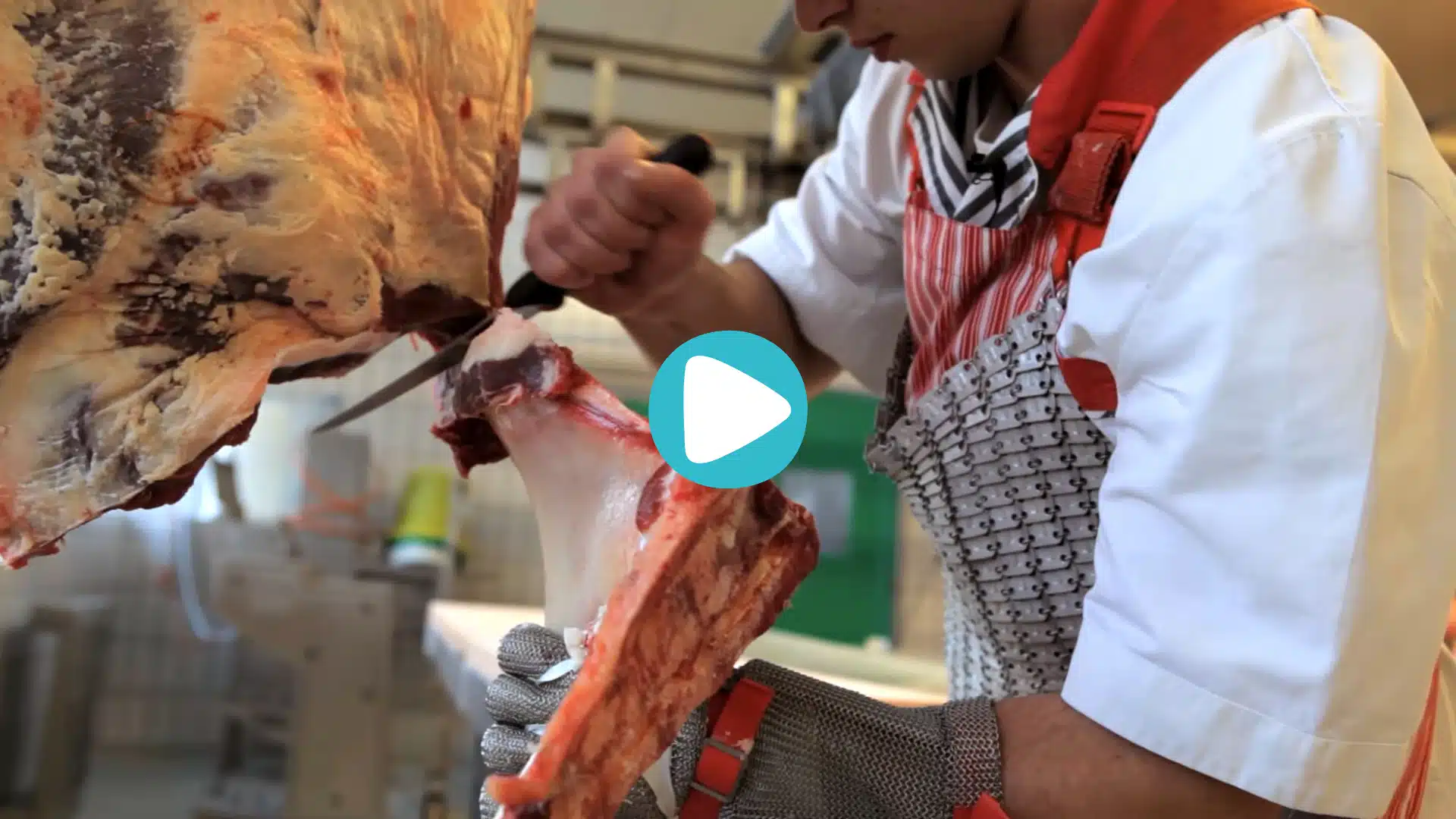 Fleischer•in 🥩 🔪👨‍🍳